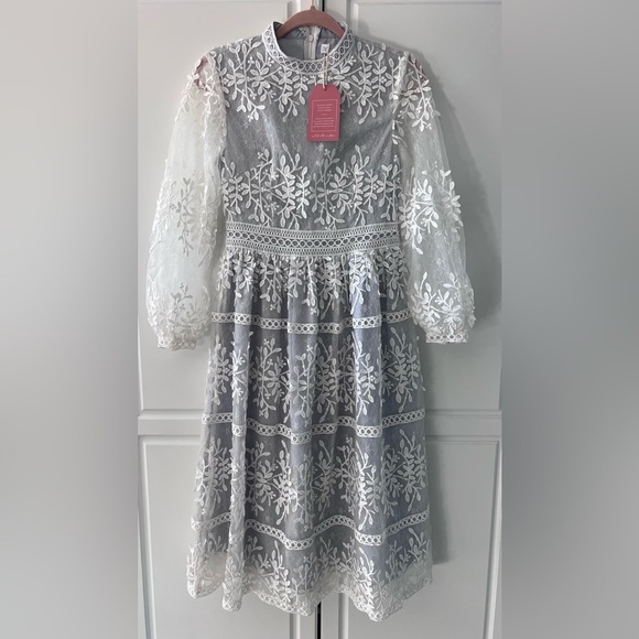 Ivy City Co Dresses & Skirts - NWT Ivy City Co Midi Dress Formal Long Sleeve White Overlay Mesh/Blue Lined